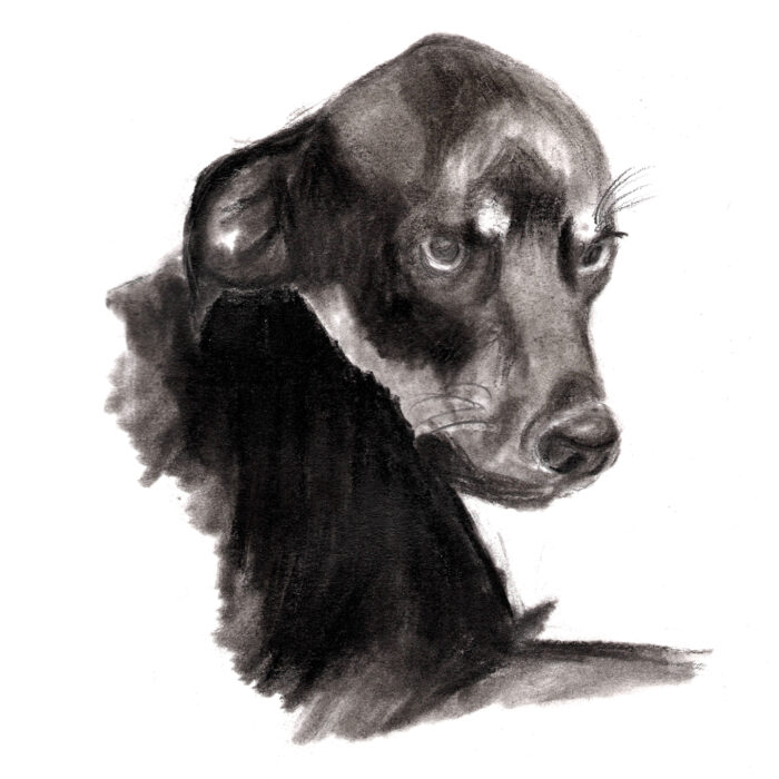 Charcoal Sketches
